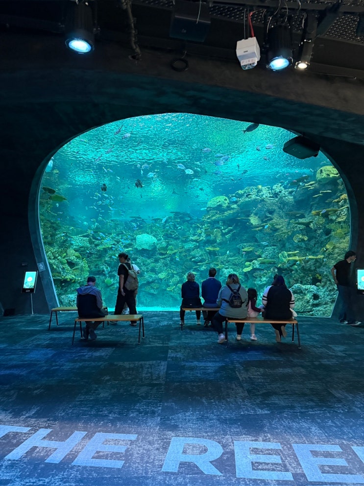 [Seattle] 시애틀 아쿠아리움 Part 2 | Ocean Pavilion: 언더워터돔으로 보는 ....