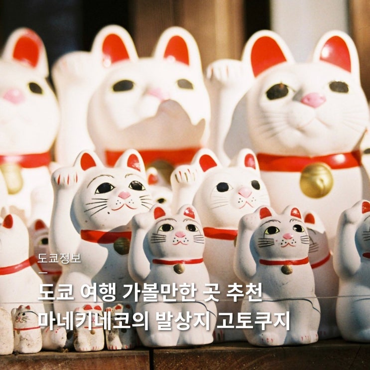 도쿄 여행 가볼만한 곳 마네키네코의 발상지 고토쿠지 豪徳寺 가는....
