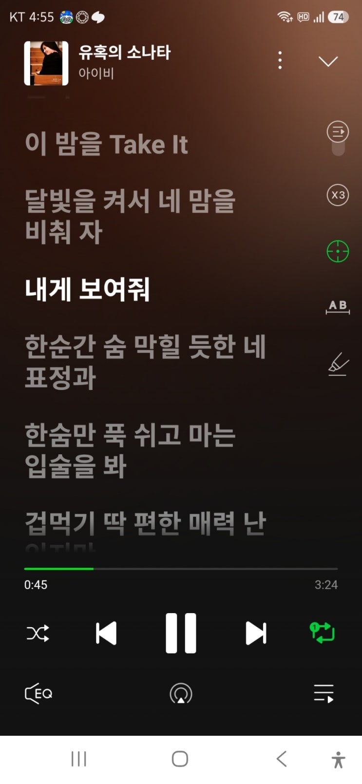 오늘의 추천노래 아이비 유혹의 소나타