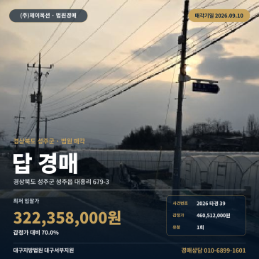 대구서부지원 경북 성주군 성주읍 대흥리 개화동마을 농지 논경매 2026타경39 썸네일
