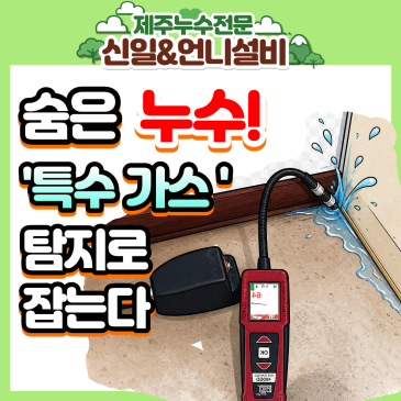제주시 이도동, 폭탄 수도요금 원인은? 섬세한 여자누수 기술로 완벽 해결한 제주누수 리얼 스토리