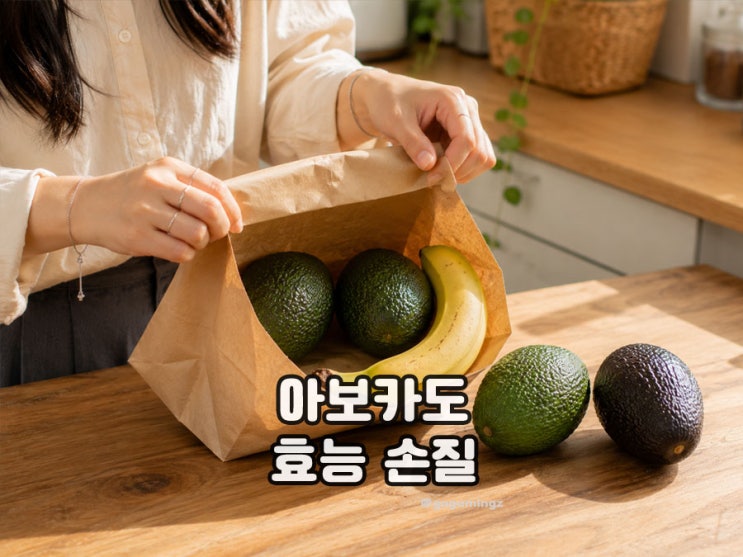 아보카도효능 하루 권장량은? 손질과 먹는법 보관법