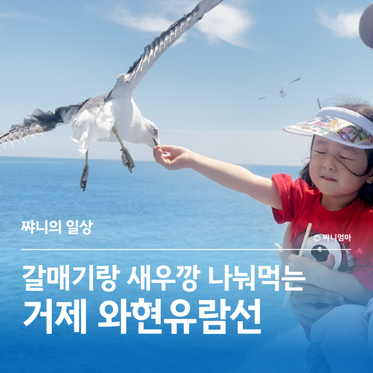 와현 외도보타니아 유람선 외도랑   |   부산 근교 거제 아기랑 가볼....