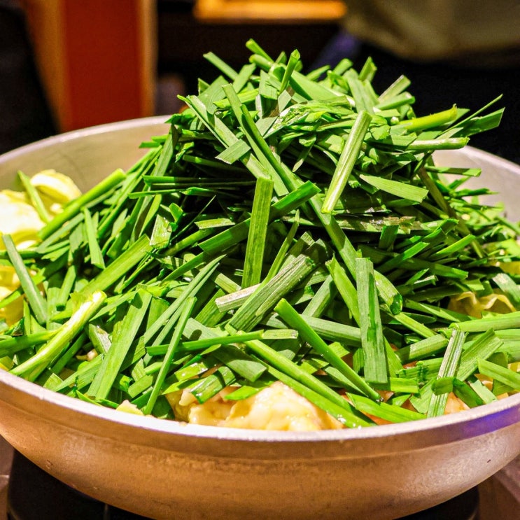 후쿠오카 하카타역 맛집 원조 라쿠텐치 모츠나베 내돈내산 찐후기