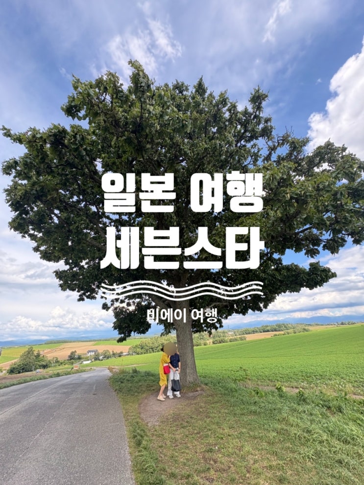 비에이여행 세븐스타나무 본 후기