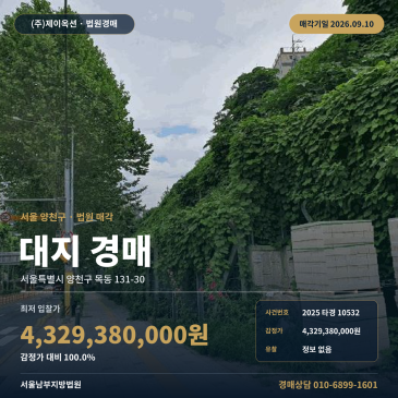 서울 양천구 목동 대지 경매 신목동역 인근 토지 1,082평 2025타경10532 썸네일