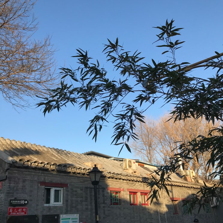 [2021-33] 입국 300일 : 올림픽공원, 마라촨/난뤄구샹