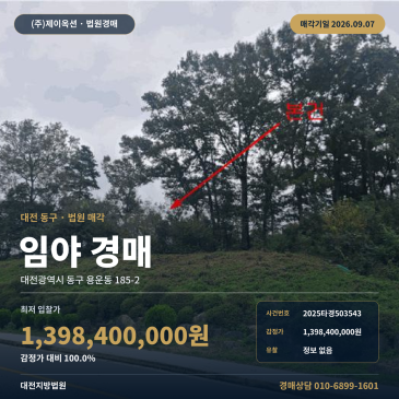 대전임야경매ㅣ대전광역시 동구 용운동 185-2ㅣ2025타경503543 썸네일