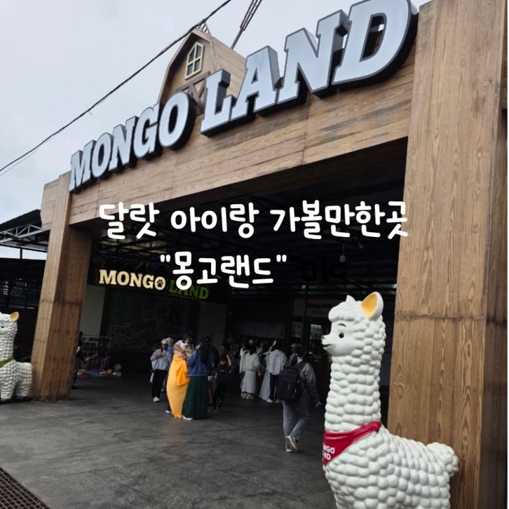 달랏 아이랑 가볼만한곳 몽고랜드 입장료 인드라이브이용 달랏동물....