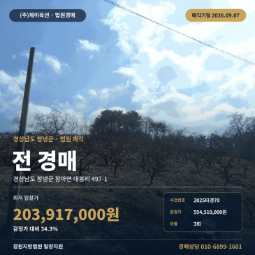 창녕밭경매ㅣ경상남도 창녕군 장마면 대봉리 497-1ㅣ2025타경70 썸네일