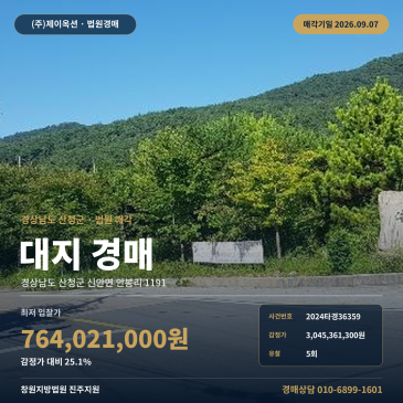 산청토지경매ㅣ경상남도 산청군 신안면 안봉리 1191ㅣ2024타경36359 썸네일