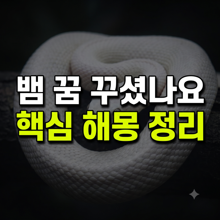 뱀 꿈 해몽 50가지: 많은 뱀 나오는 꿈 집 몸 색깔별 길몽 총정리