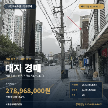 서울금호동토지경매ㅣ서울특별시 성동구 금호동1가 111-2ㅣ2025타경51703 썸네일