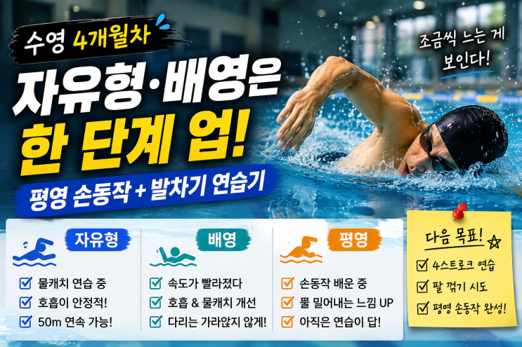 수영 4개월차｜자유형 물캐치·배영 다음 단계·평영 손동작 연습기
