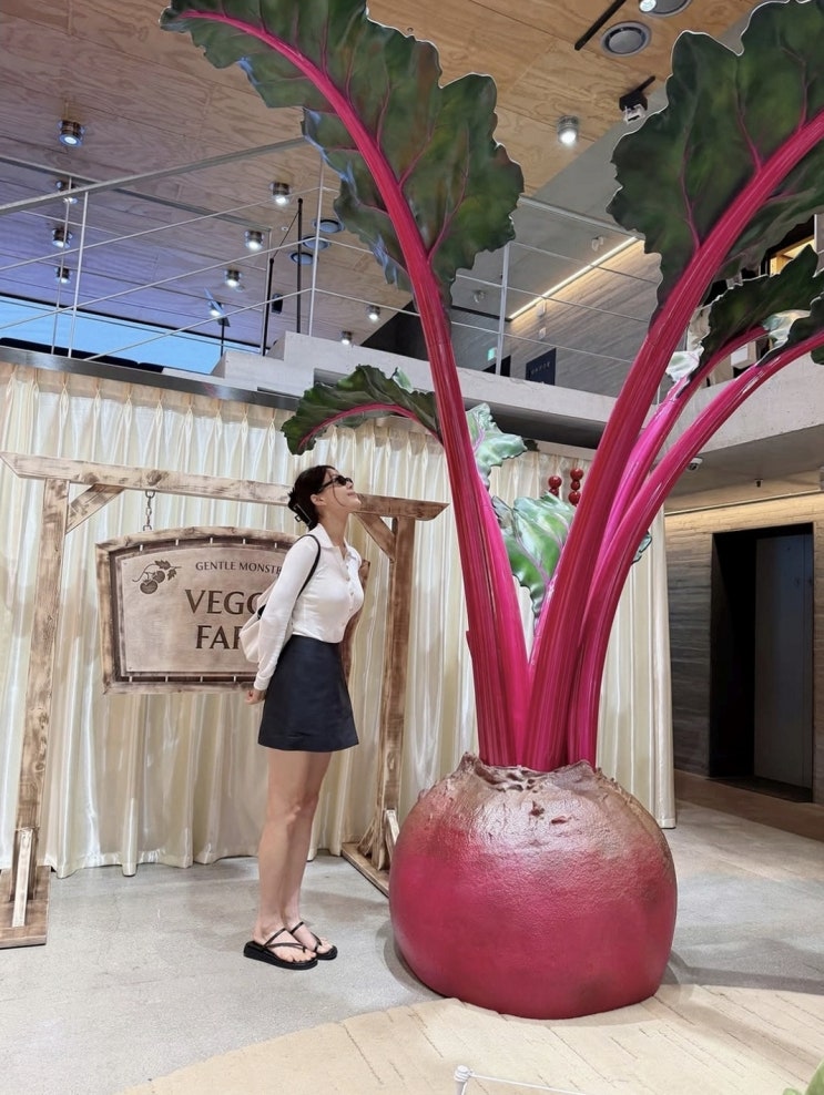 한지혜 미니스커트 사진, 늘씬한 근황에 관심이 커진 이유