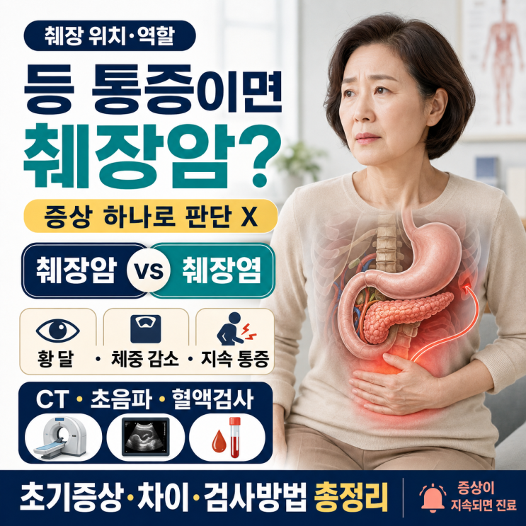 췌장 위치와 역할, 췌장암 초기증상·췌장염 증상 차이 및 검사방법 총정리