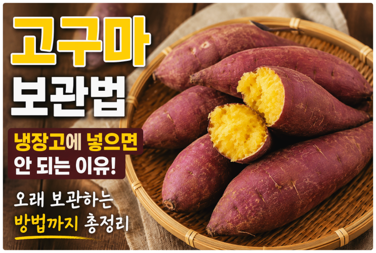 고구마 보관법｜냉장고에 넣으면 안 되는 이유와 오래 보관하는 방법