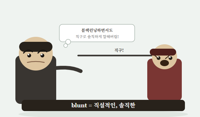 blunt, 직설적인 단어 완벽 암기 : 네이버 블로그
