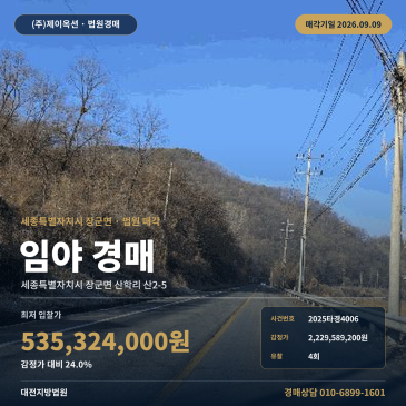세종임야경매 장군면 산학리 부동산경매 2025타경4006 썸네일