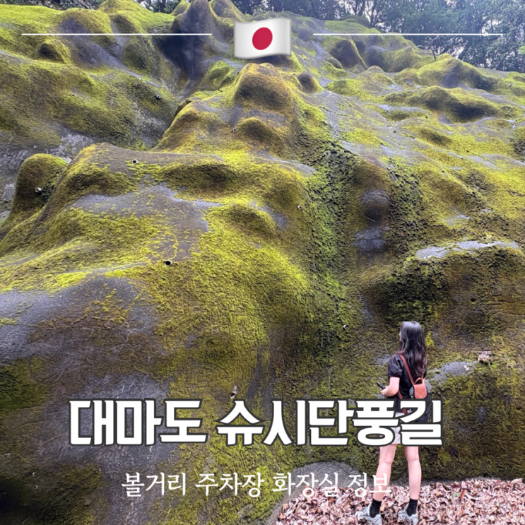 대마도 당일치기 여행 코스 드라이브 명소 슈시단풍길