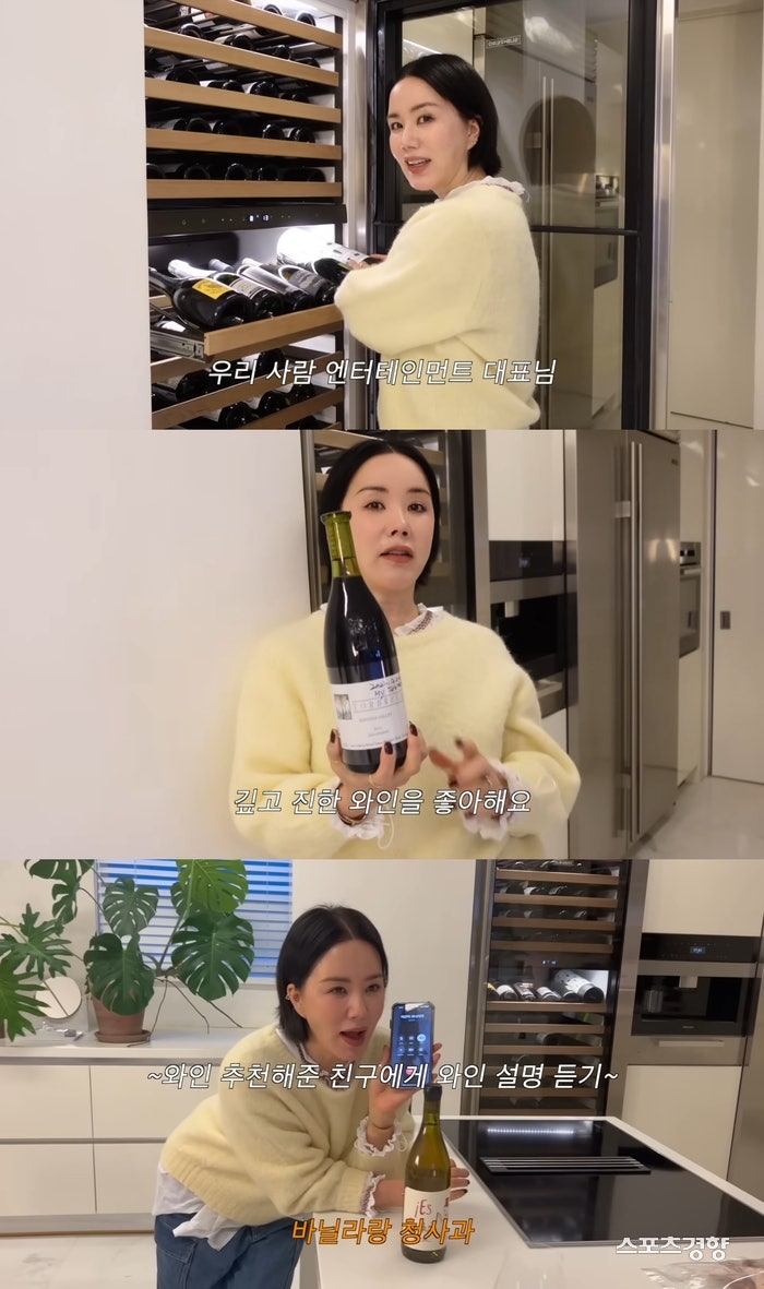 엄정화 와인 런칭 현장! 송혜교·고현정·공유 차기작 소식까지
