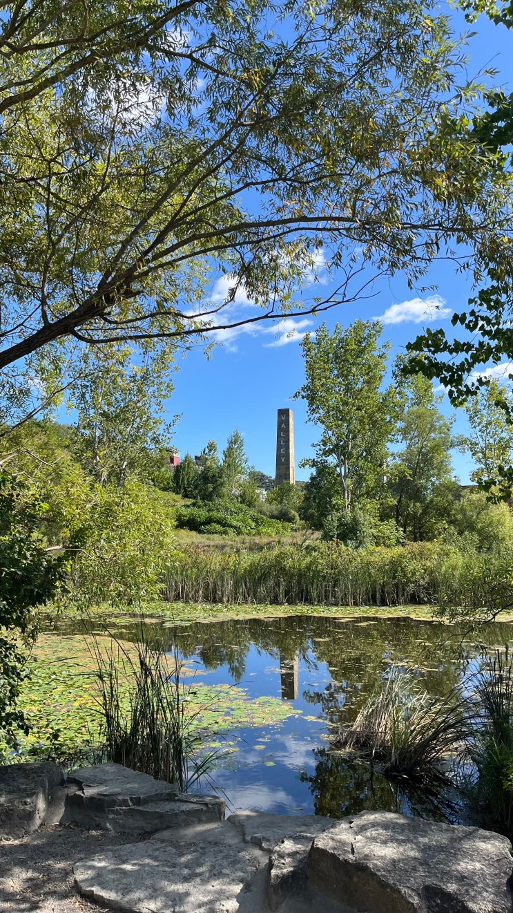 [Toronto] Day118 ~ Day120 Recap Don Valley Brick Works 산책 | 파머스 마켓 | 팀 홀....