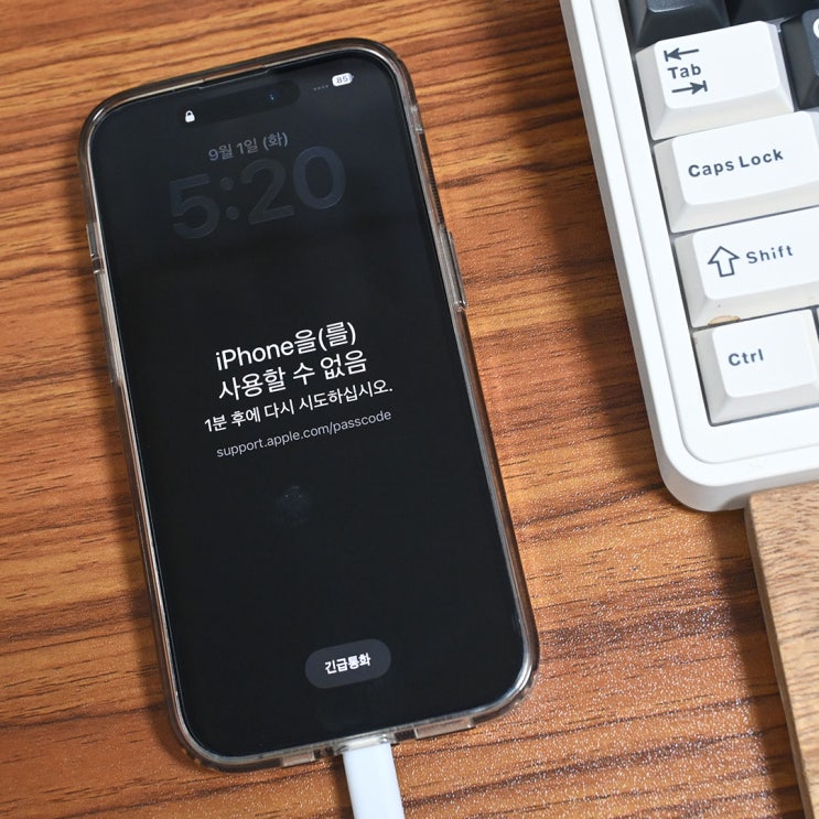 아이폰 비밀번호 분실 잠금해제 Tenorshare 4uKey로 초기화하는 방법