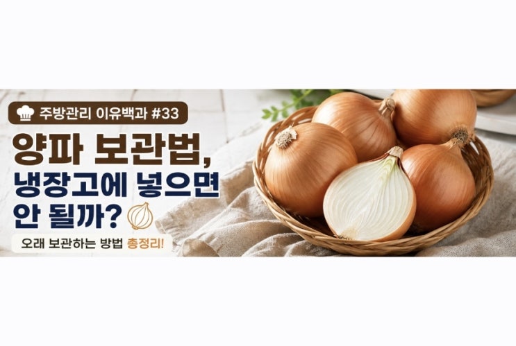 양파 보관법, 냉장고에 넣으면 안 될까? 오래 보관하는 방법 | 주방....