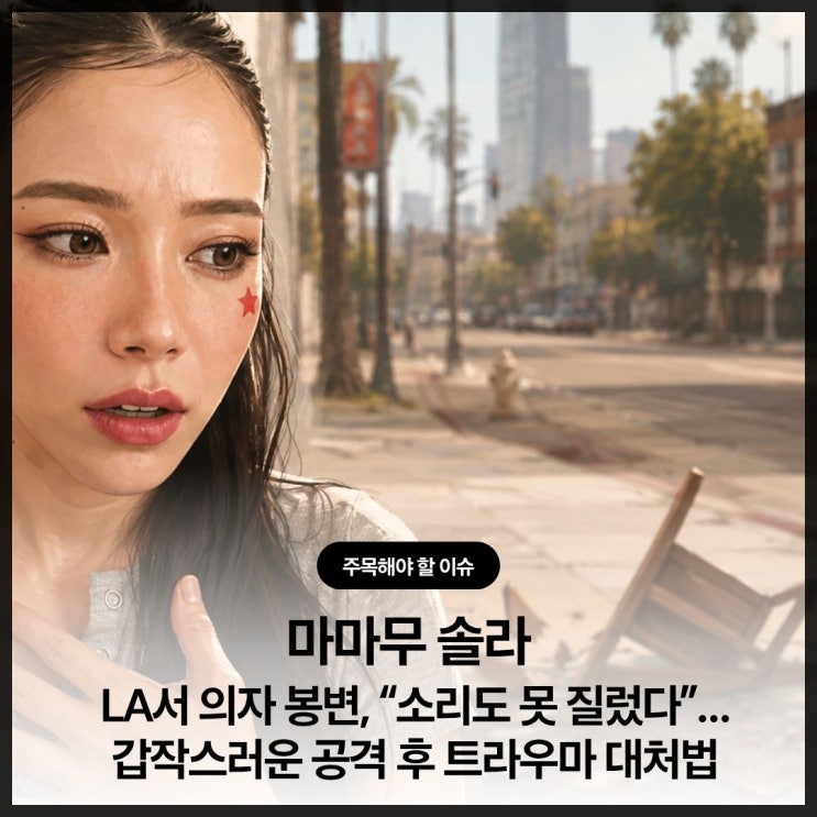 마마무 솔라 LA서 의자 봉변, “소리도 못 질렀다”…갑작스러운 공....