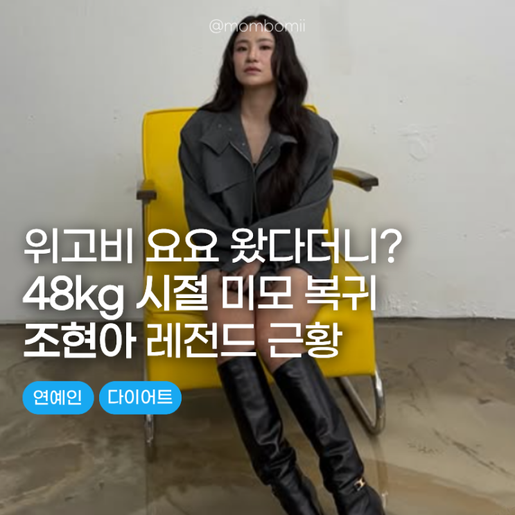 "위고비로 48kg까지 빼고 요요왔다더니?" 조현아 레전드 미모 갱신한 ....