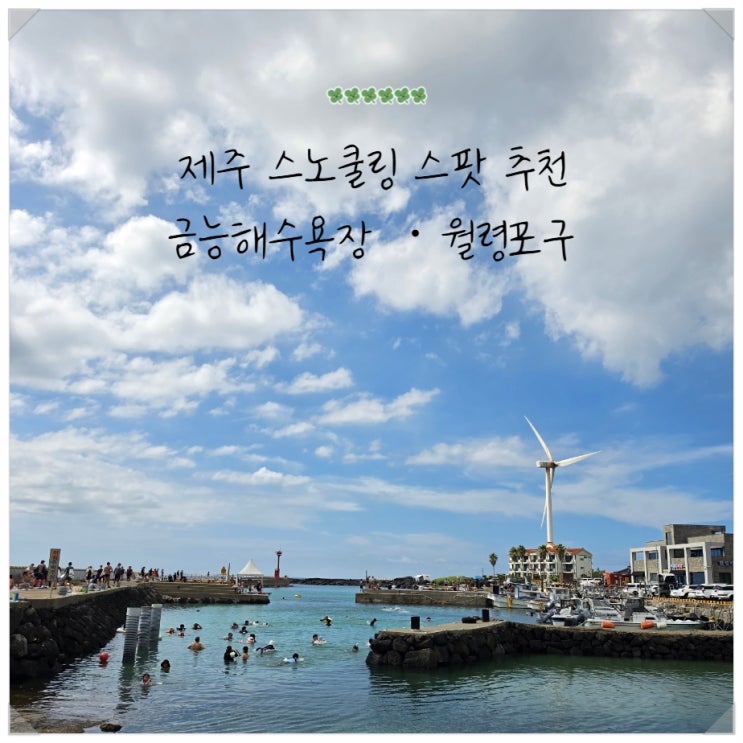 제주 금능해수욕장 스노쿨링 초보 후기 월령포구까지
