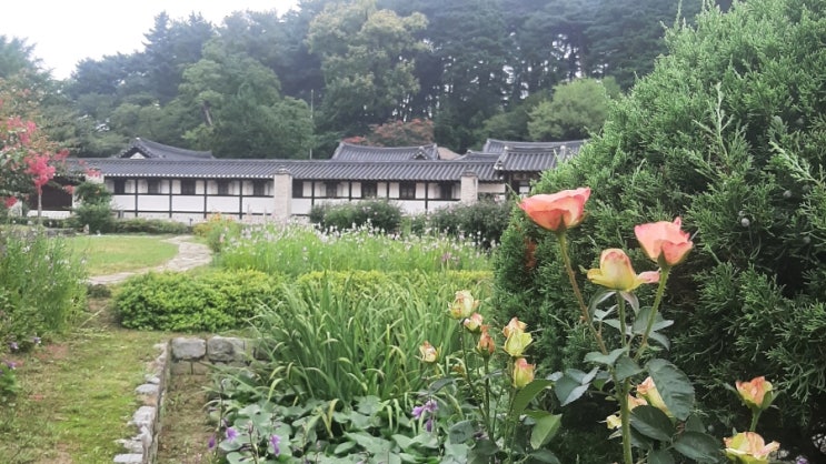 2026.08.17 강릉: 선교장, 시립미술관 교동, 깨북 외 등등