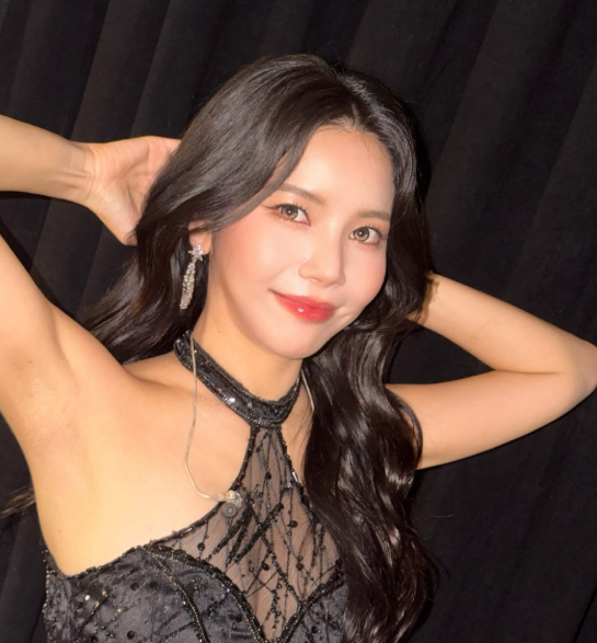 마마무 솔라 미국 LA 길거리 피습 사건 전말, 모르는 남성에게 의자 ....