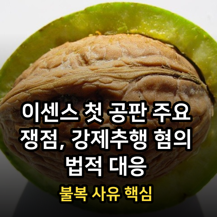 이센스 첫 공판 주요 쟁점, 강제추행 혐의 법적 대응·불복 사유 핵....