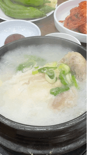 평촌/안양 | 연건삼계탕 몸보신이 필요할 때 평촌삼계탕맛집추천 마늘필수🧄🐔 : 네이버 블로그