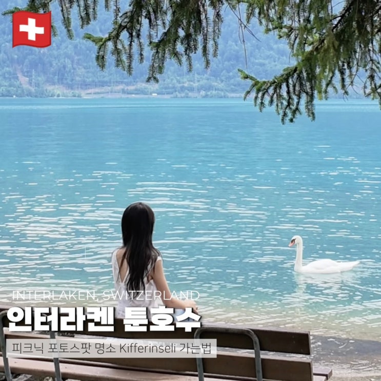 스위스 인터라켄 피크닉 명소, 툰호수 kifferinseli 포토스팟 후기