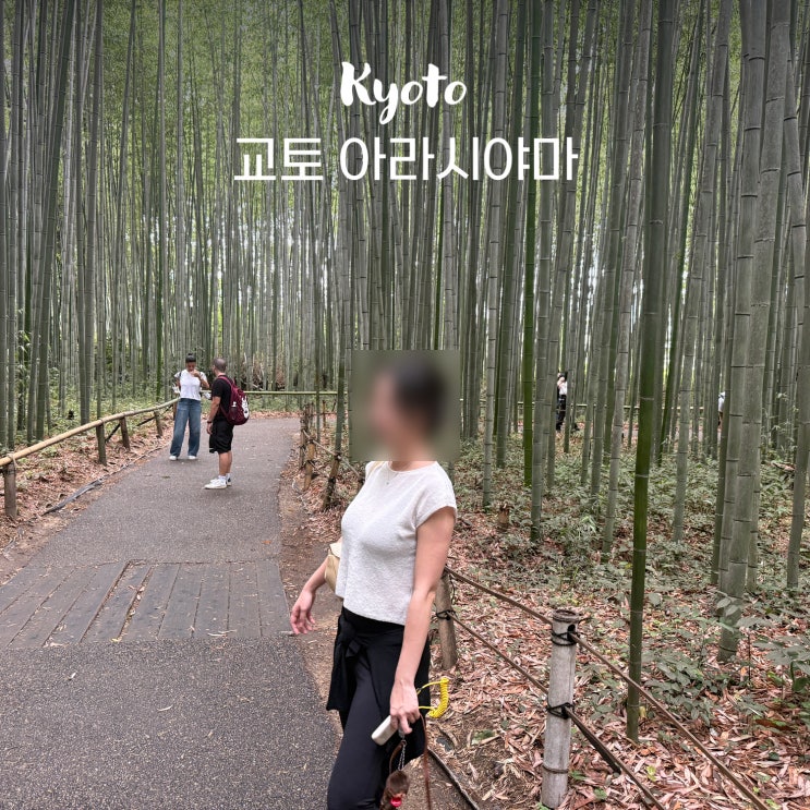 교토 가볼만한곳 아라시야마 가는법, 대나무숲 노노미야신사 후기