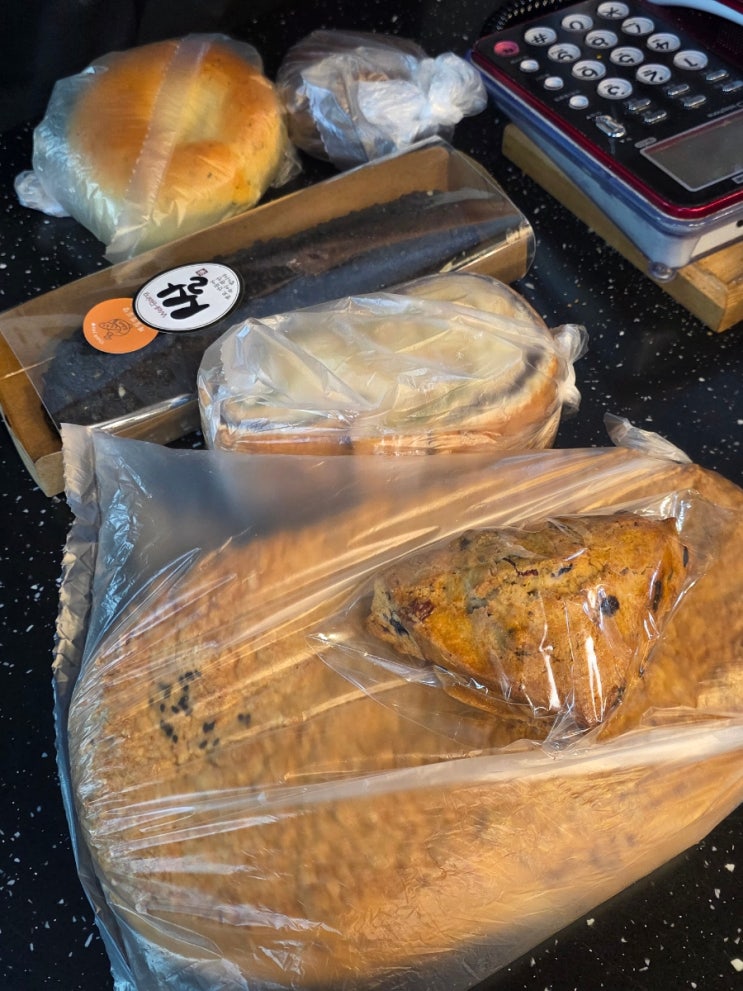 제주도 빵지순례 제일성심당, 나혼자산다 유리 추천 빵집