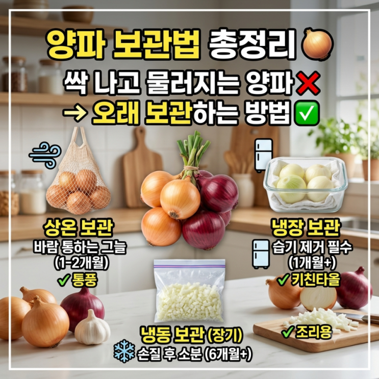 양파 보관법 총정리｜싹 나고 물러지는 양파 오래 보관하는 방법