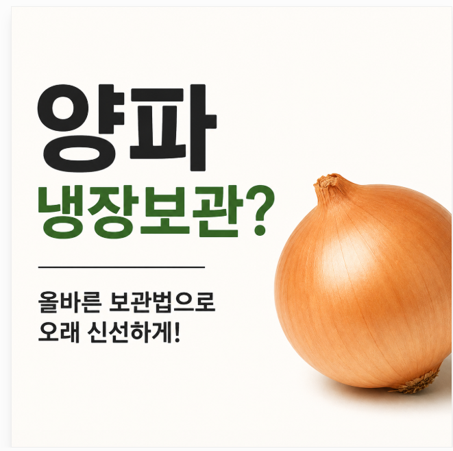 양파는 냉장보관하면 안 될까? 오래 보관하는 방법 정리