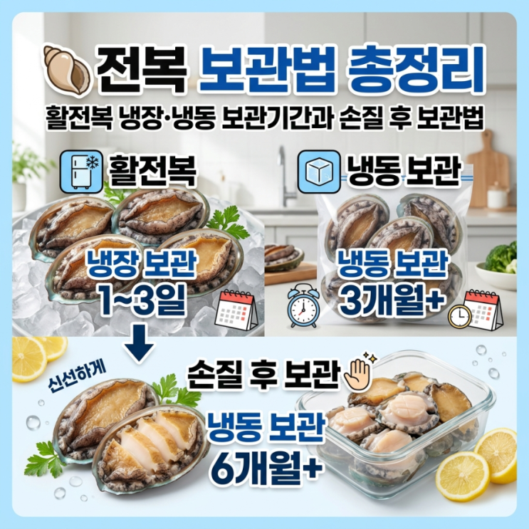 전복 보관법 총정리｜활전복 냉장·냉동 보관기간과 손질 후 보관법