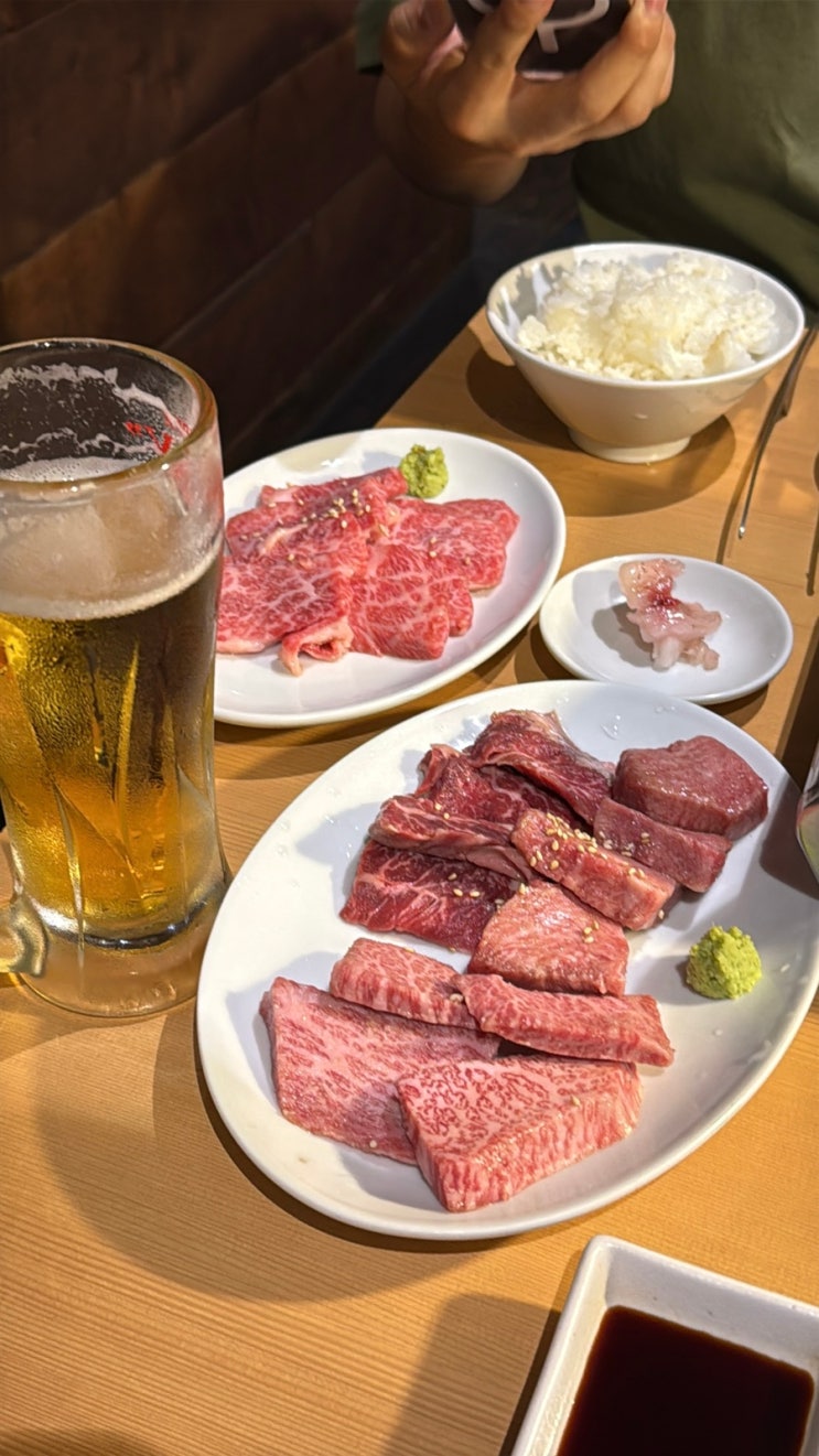 [오사카 맛집] 라이브 야끼니꾸 텐구 센니치마에점 :: 도톤보리 야끼....
