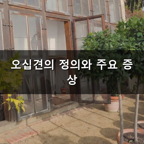 오십견 치료 자연스럽게 시작하는 방법