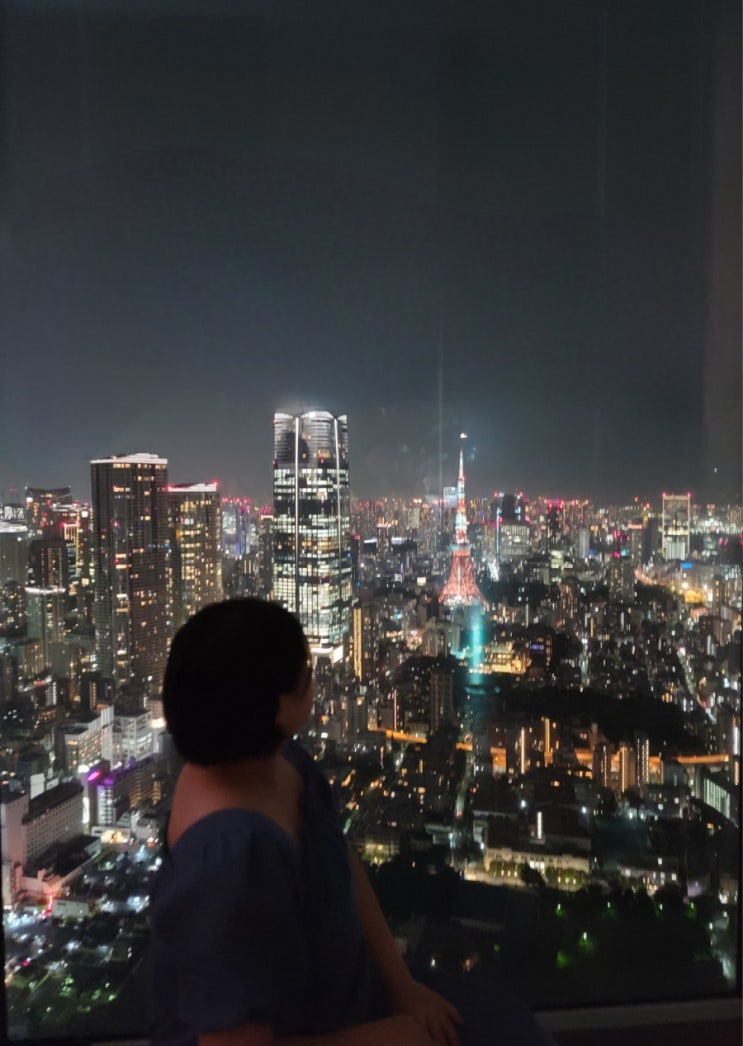 Tokyo | 롯폰기힐즈 모리타워 전망대 도쿄시티뷰