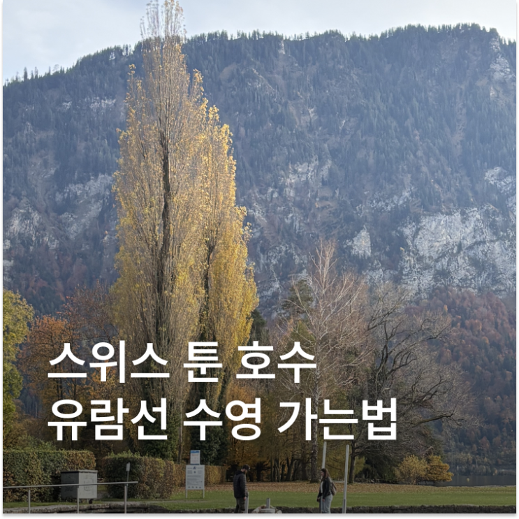 스위스 튠호수 툰호수 유람선 수영 인터라켄 가는법
