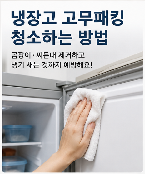 냉장고 고무패킹 청소하는 방법｜곰팡이·찌든때 제거하고 냉기 새는 것까지 예방해요