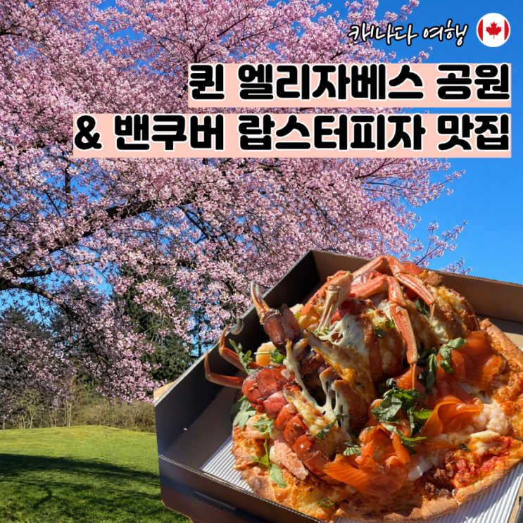 밴쿠버 벚꽃 명소 추천 퀸엘리자베스 파크, 개리포인트 공원, 랍스....