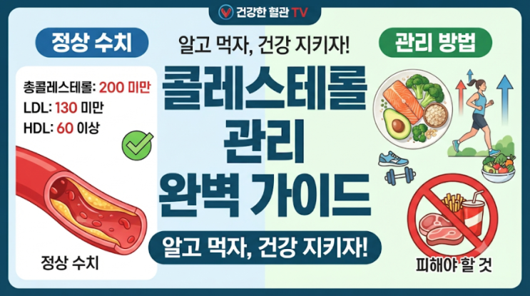 콜레스테롤 정상 수치와 관리 방법 완벽 가이드 (좋은 음식 & 피해야 할 음식)