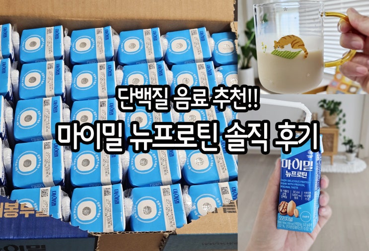 마이밀 뉴프로틴 오리지널 솔직 후기: 신세경 단백질 음료 추천 (호두 아이스크림 맛!)