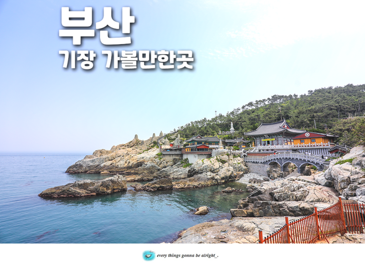 기장 가볼만한곳 부산 해동 용궁사 오랑대공원 등